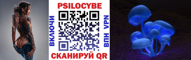 Галлюциногенные грибы мицелий наркотики Козьмодемьянск
